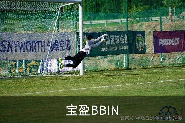 宝盈BBIN公司介绍